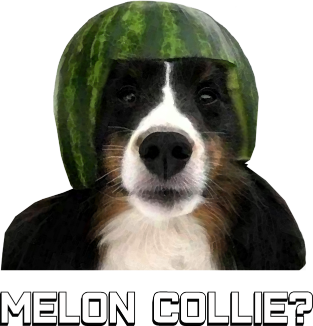 Melon Collie? funny dog with watermelon on head meme gift t shir