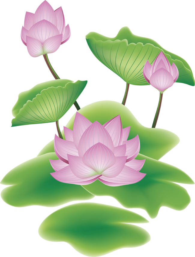 Lotus Flower with Leaves by AnnArtshock