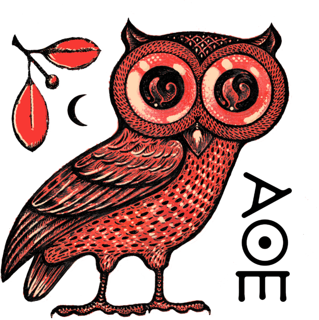 Athena's Owl by scottpartridge