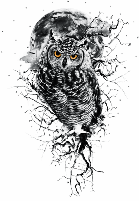 OWL BW by rizapekerz