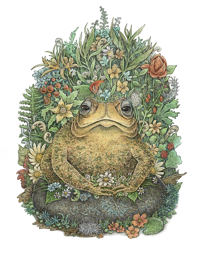 Her Majesty Toad by EugeniaHauss
