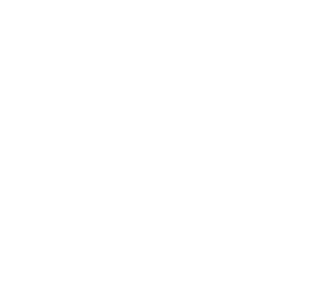 Type 2 Fun