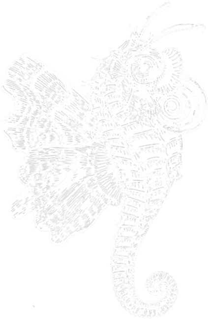 Seahorse Fusion Butterfly  T-Shirt by CNTT668