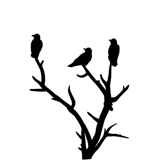 Three silhouettes of ravens on a background of the moon