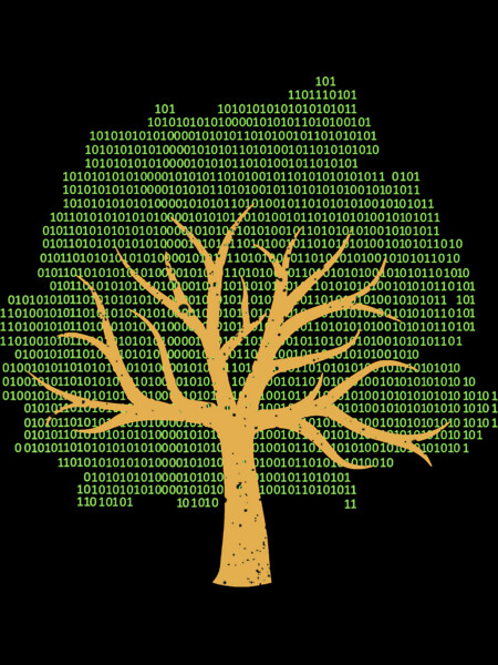 Binary Tree  T-Shirt Funny Programmer Developer