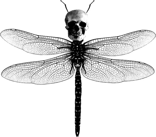 Surreal Dragonfly with Skull head gothic style t shirt