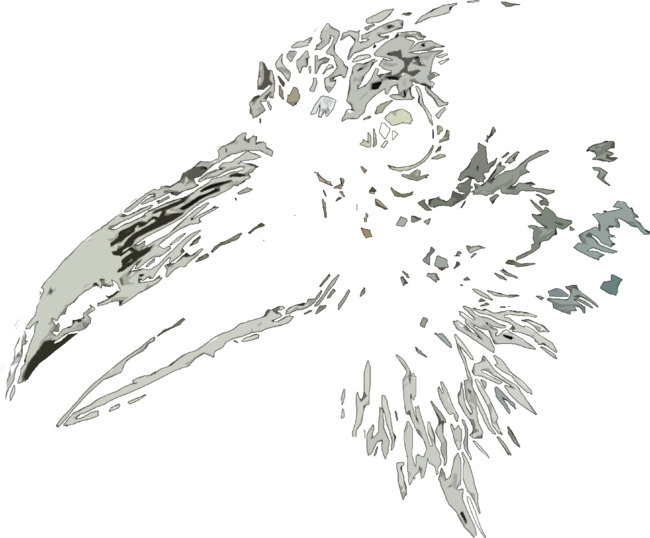 Stylish crow raven bird head t shirt by JOHANNESART
