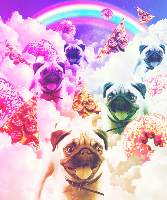 Pugs In The Clouds With Doughnut, Pizza, Rainbow