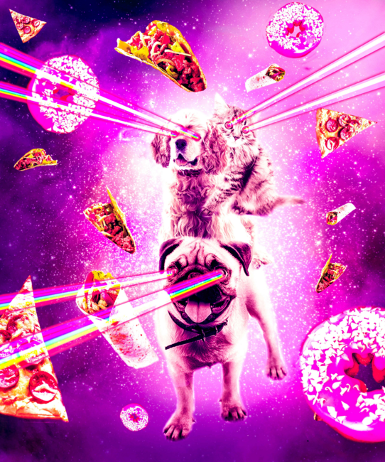 Laser Eyes Space Cat Riding Dog, Pug - Rainbow