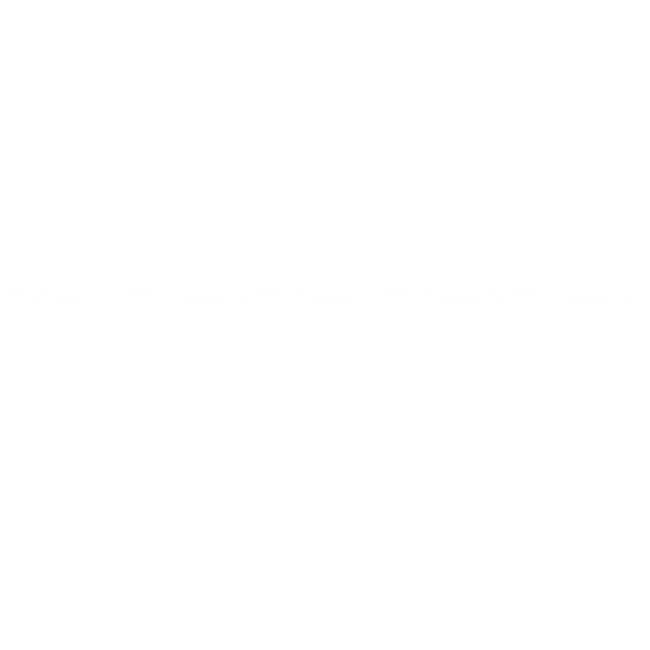 Shark Geek Lover