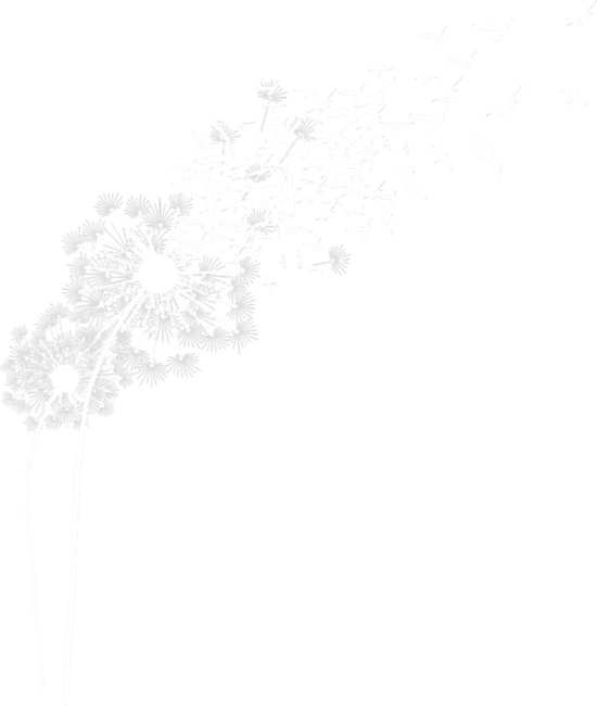 Make A Wish Dandelion Birds by Tomoken
