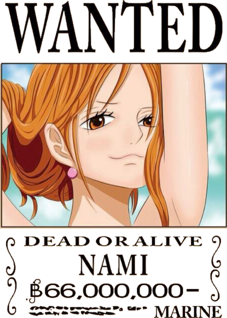 Nami Bounty - One Piece Wanted
