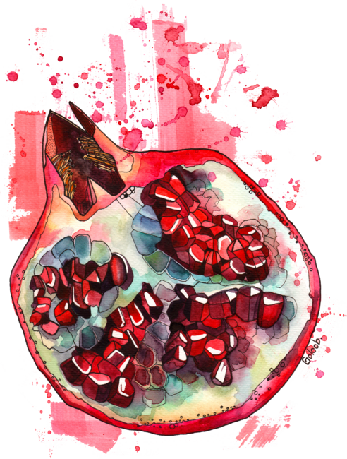 Bright watercolor pomegranate