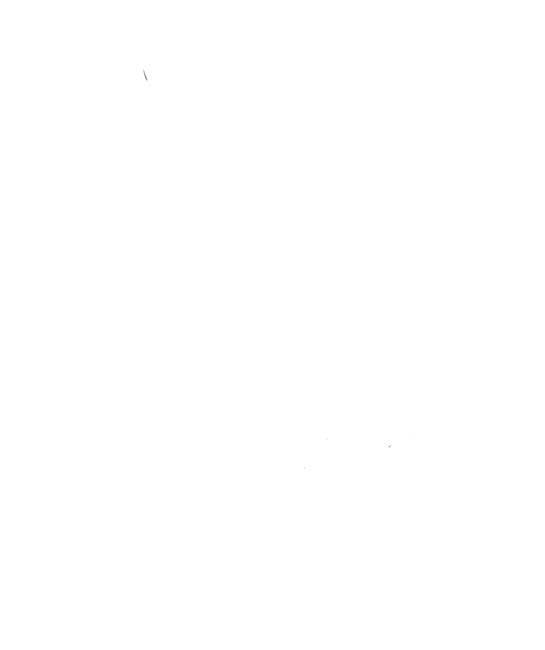 Cactus, Crystals &amp; Succulents Desert Moon Landscape