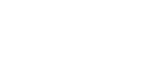 Evolution Skate