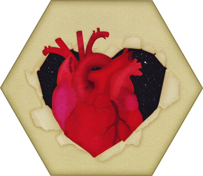 The hidden heart