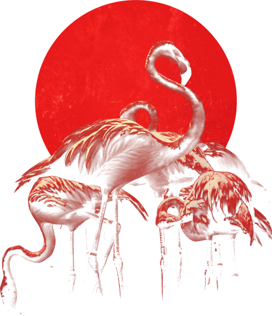 Flamingo and the red Sun by fokus