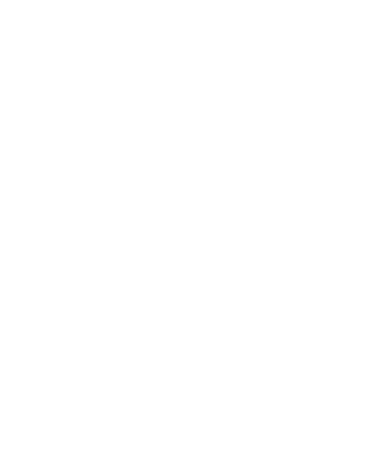 Elephant Face | Forgive Nothing
