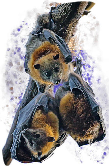 Cosmic Space Bats