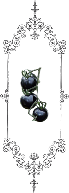 Vegan Goth: Even My Tomatoes are Black
