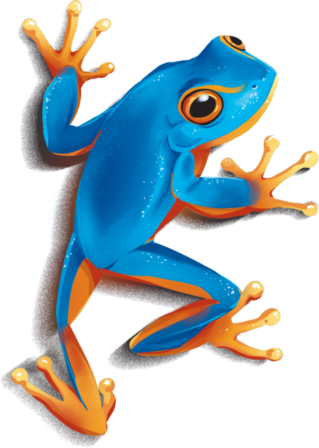 Frog - Blue Frog