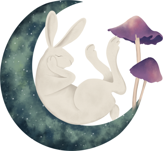 Bunny on the moon