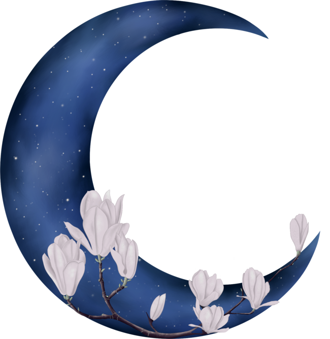 Flower moon by Adriannaillustrations