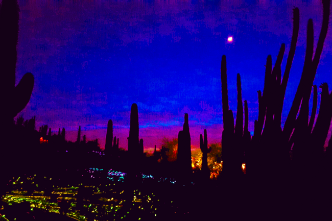 Sunset  Cactus Garden