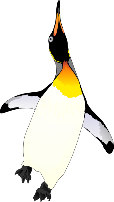Dancing King Penguin