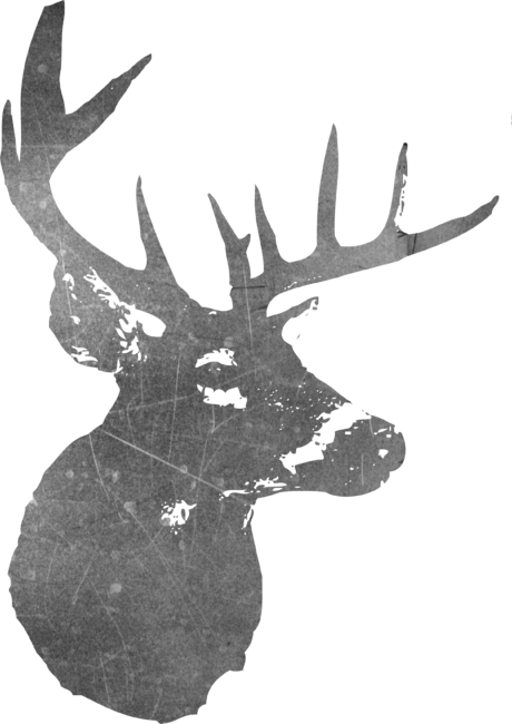 Deer by ivan80