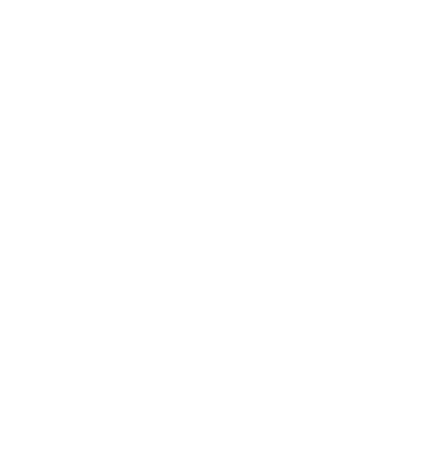 Ying &amp; Yang / Kung Fu / 5 Elements