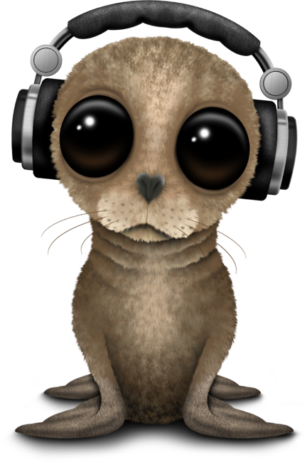 Cute Baby Sea Lion DJ Wearing Headphones