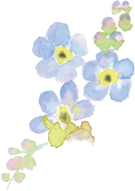 Forget Me Not Water Color Painting