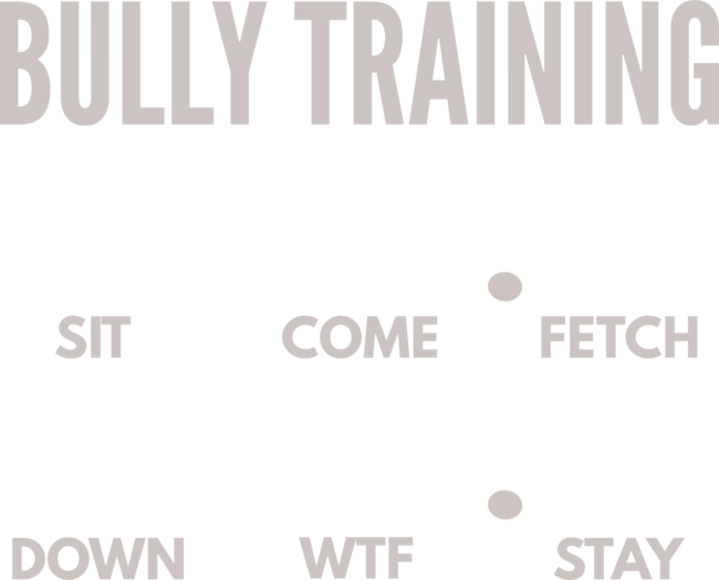 Bully Training English Bull Terrier Tricks