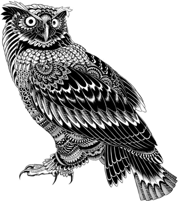 Drawing Zen Coloring Nature Sketch Nature Owl