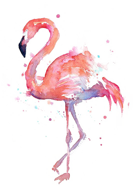 Flamingo Watercolor Painting
