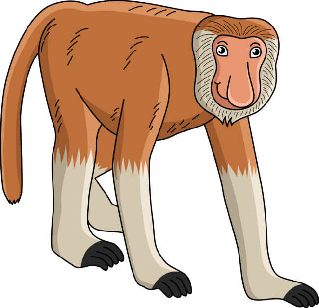 Funny proboscis monkey cartoon illustration