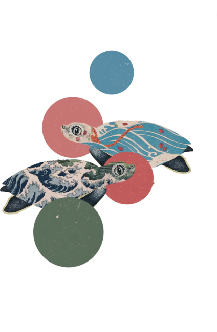 Sea Turtle Polka