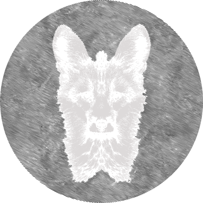 Fox Closeup by creatiezart
