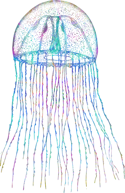Psychedelic Jellyfish Trippy Aquatic Sea Life Ocean
