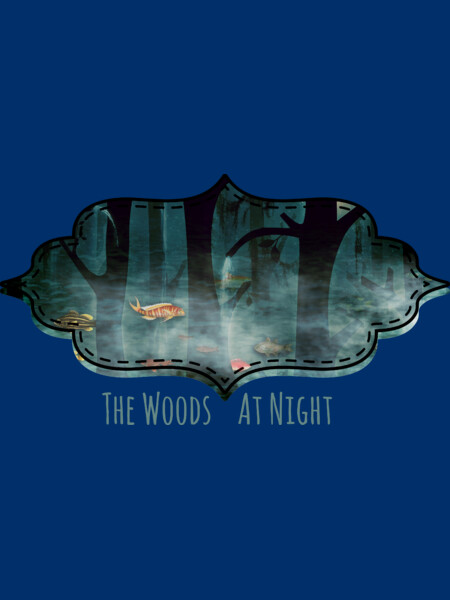 The Woods at Night