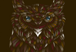 WILD OWL by dandingeroz