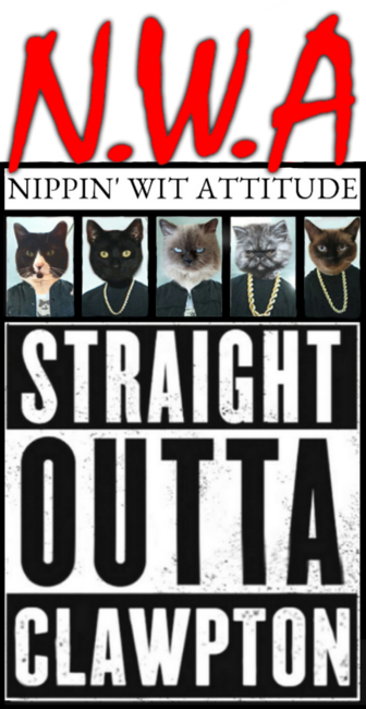 N.W.A - Nippin' Wit Attitude by KittyTheater