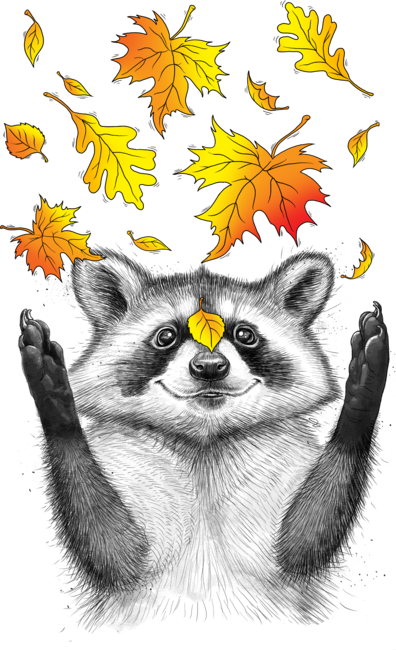 Autumn raccoon #2