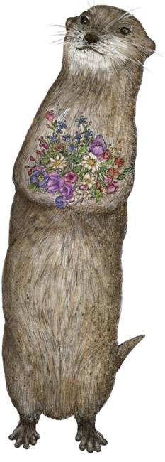 Otter and Flowers