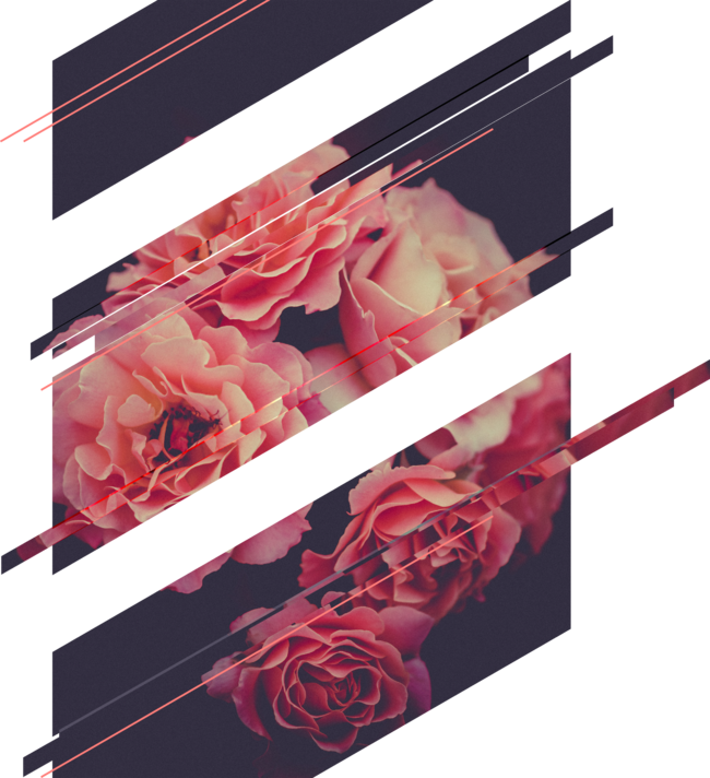 Rose Glitches by yoyomonsterph