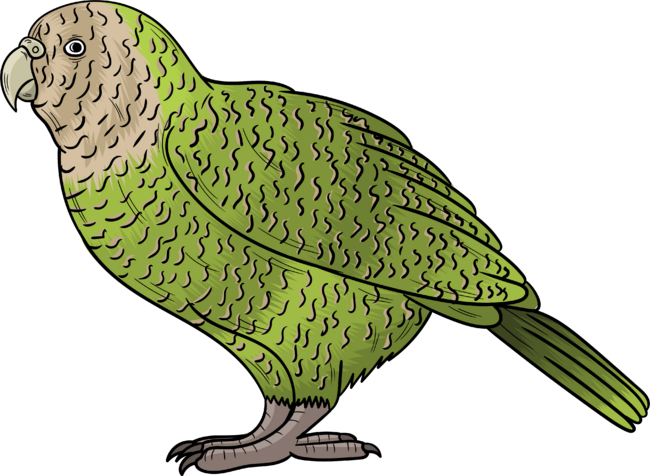 Kakapo bird cartoon illustration.