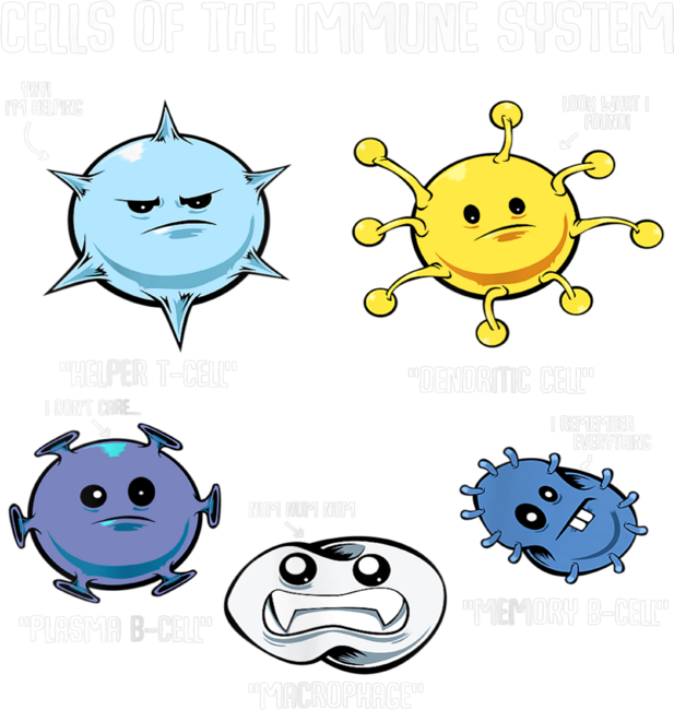 Science shirt- Cells Of Immune System by SeJin