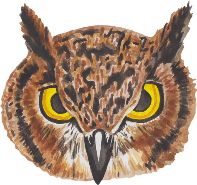 Beautiful watercolor owl with big yellow eyes