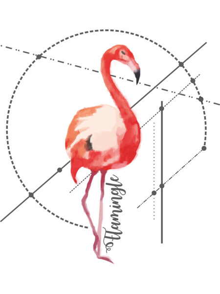 Let's Flamingle!